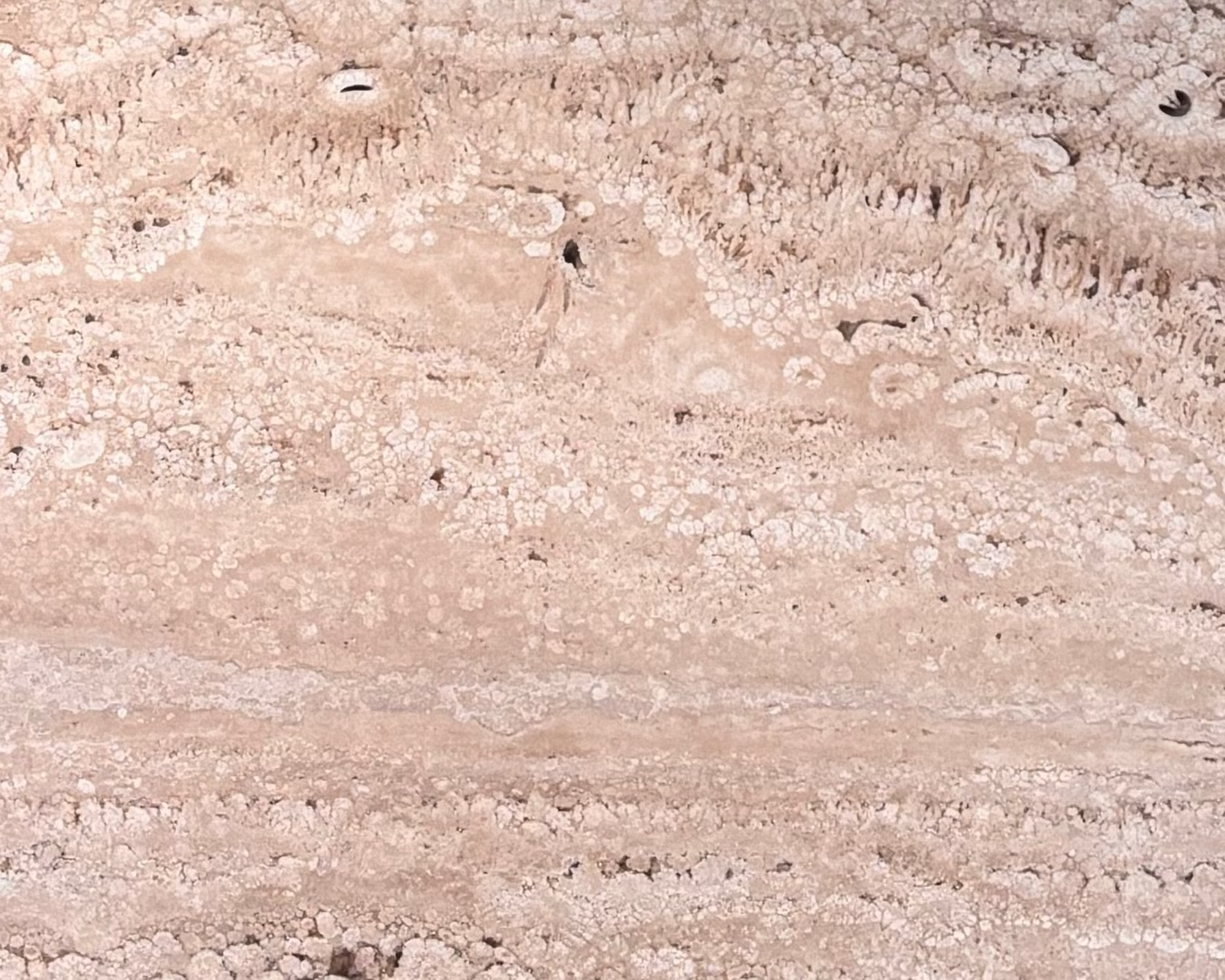 Mesa de Apoio Radiis